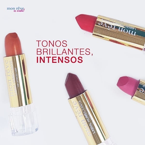 L_labiales.jpeg